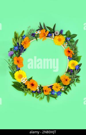 Kräuter und essbare Blüten und Wildblumenkranz für die natürliche pflanzliche Medizin. Kreatives minimales Design natürliche Gesundheit Lebensmittelkonzept. Stockfoto