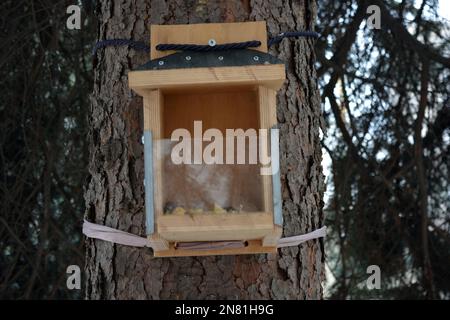 Ein neuer, stilvoller Holzfutterplatz für Vögel, Vieh und Eichhörnchen mit Essen hängt am Weihnachtsbaum im Park. Stockfoto