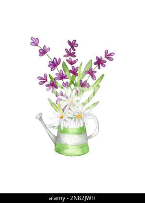 Aquarell-Lavendel-Clipart. Ein Strauß Lavendel in einer Gießkanne aus Metall. Uber die Zusammensetzung der Lavendel- und Kamillenblüten. Von Hand zeichnen. Stockfoto