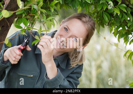 Eine Frau schneidet im Garten den Busch mit einer Schere Stockfoto