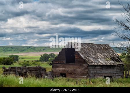 Ein verlassenes Bauernhaus steht im Grasland von Pryor, Montana, während des stürmischen Nachmittags. Stockfoto