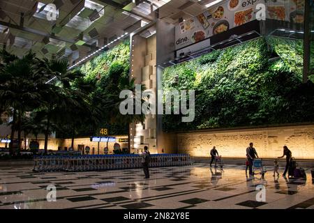 Innenseite des Changi International Airport in Singapur, einer der größten Verkehrsknotenpunkte in Südostasien. Die 100 besten Flughäfen der Welt. Stockfoto