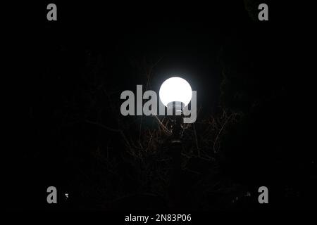 Beleuchtete Straßenbeleuchtung auf dunklem Hintergrund. 3D-Rendering Stockfoto