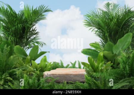 Leeres Steinpodium auf grünem Gras mit tropischem Wald Pflanzen verschwimmen Wolke blauer Himmel Hintergrund mit space.organic gesunden Produkt präsentieren natürliche Platzierung Stockfoto