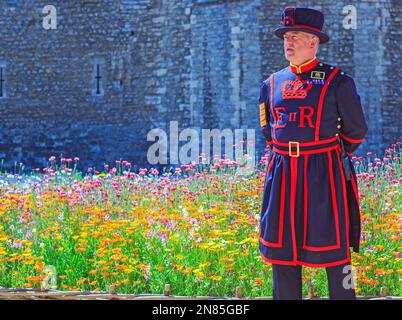 Super Bloom, Tower of London, Juni 2022. Ein Yeoman der Garde steht vor dem Tower of London, mit der super-blühenden Ausstellung. Stockfoto