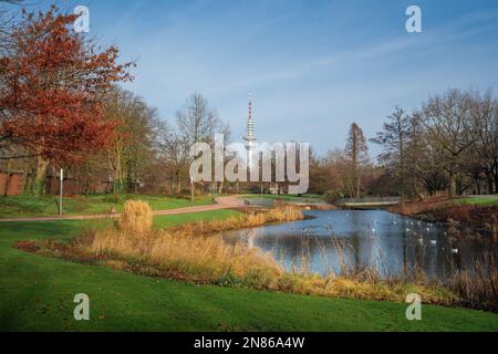 Planten un Blomen Park mit Blick auf den Heinrich-Hertz-Turm - Hamburg, Deutschland Stockfoto