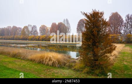 Panoramablick auf Venaria reale Gärten in der Herbstsaison - Turin, Piemont Region in Norditalien - Europa Stockfoto