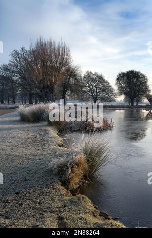 Mutter Natur ist perfekt mit frostigen Morgen und einem Hauch von Sonnenschein und Nebel Stockfoto