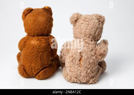 Zwei Teddybären Stockfoto