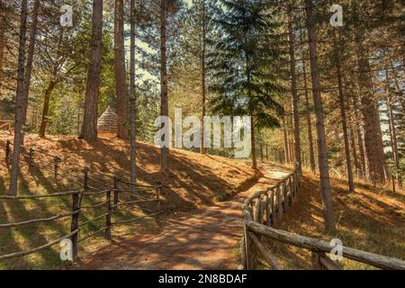 Wanderweg im Sila Park, Kalabrien Stockfoto