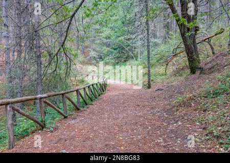 Wanderweg im Sila Park, Kalabrien Stockfoto