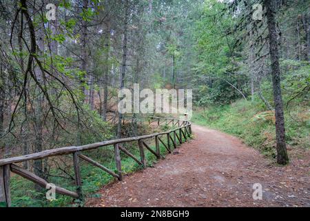 Wanderweg im Sila Park, Kalabrien Stockfoto