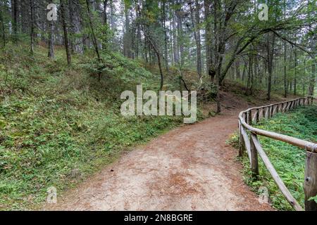 Wanderweg im Sila Park, Kalabrien Stockfoto