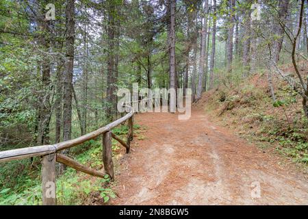 Wanderweg im Sila Park, Kalabrien Stockfoto
