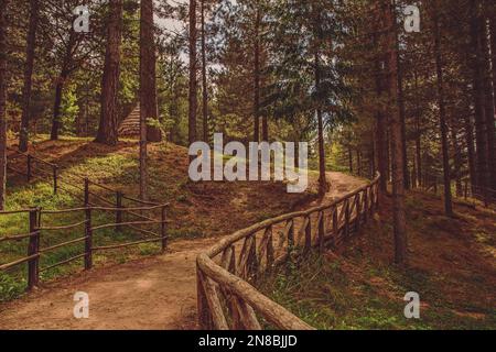 Wanderweg im Sila Park, Kalabrien Stockfoto