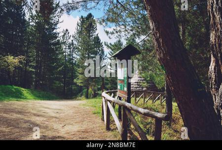 Wanderweg im Sila Park, Kalabrien Stockfoto
