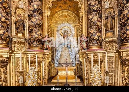 Bild von Madre de Dios del Rosario (Mutter Gottes des Rosenkranzes), Patrona de Capataces y Costaleros (Schutzpatron der Vorarbeiter und Träger) im Inneren des Pa Stockfoto