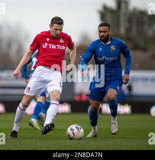 Wrexham, Wrexham County Borough, Wales. 11. Februar 2023 Wrexhams Paul Mullin spielte im Wrexham Association Football Club V Wealdstone Football Club auf dem Rennplatz in der Vanarama National League. (Bild: ©Cody Froggatt/Alamy Live News) Stockfoto