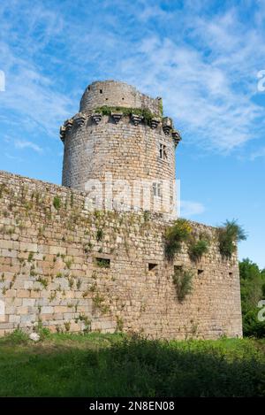 Mittelalterliches Schloss Tonquedec aus dem 12E. Jahrhundert (Tonquedec, Cotes d'Armor, Bretagne, Frankreich) Stockfoto