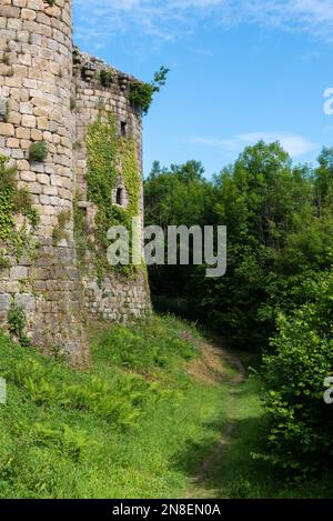 Mittelalterliches Schloss Tonquedec aus dem 12E. Jahrhundert (Tonquedec, Cotes d'Armor, Bretagne, Frankreich) Stockfoto