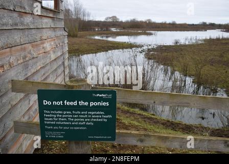 Ein Schild am Auenwald Nature Reserve in Old Wolverton, Milton Keynes. „füttert die Ponys nicht.“ Stockfoto