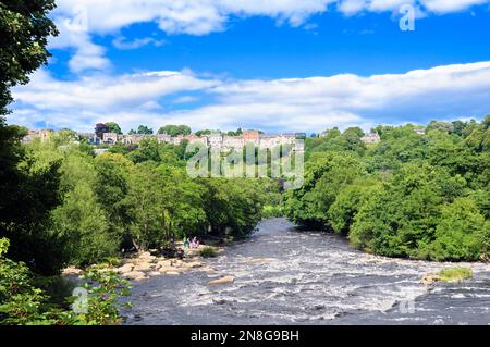 Sommerblick auf den Fluss Swale, der die Richmond Falls hinunterragt, flankiert von Bäumen mit einer Reihe von Häusern auf dem Hügel, Richmond, North Yorkshire, England Stockfoto