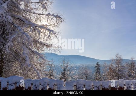 Winterlandschaft mit Nadelbäumen und Beskiden-Gebirge in Polen, mit Schnee bedeckter Holzzaun, Sonnenlicht zwischen den Ästen, Kopierraum. Stockfoto