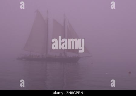 Ein klassisches Großschiff, das vor der Küste von Maine im typischen Nebel von Maine segelt Stockfoto