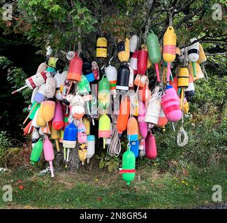 Bunte Hummerfallen-Bojen hängen an einem Baum an der Küste von Maine, USA Stockfoto