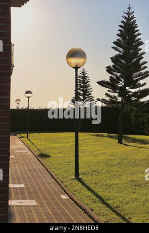 Gemeinschaftsgärten in der späten Nachmittagssonne mit Kiefern der Norfolkinsel Araucaria heterophylla und Lampenpfählen Santander Cantabria Spanien Stockfoto