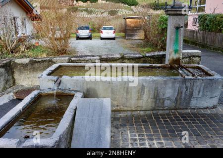 Alte Wasserbecken im Dorf Ollon, Schweiz Stockfoto