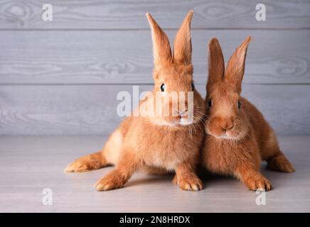 Niedliche Häschen auf grauem Tisch vor Holzhintergrund, Platz für Text. Ostersymbol Stockfoto