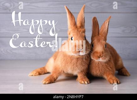 Frohe Ostern! Süße Häschen auf grauem Tisch vor Holzhintergrund Stockfoto