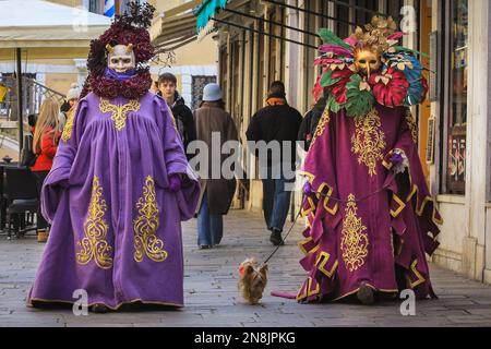 Venedig, Italien. 11. Februar 2023. Max, der kleine Hund, ist mit einer deutschen Gruppe in aufwendigen venezianischen Kostümen nach Venedig gereist. Kostümierte Karnevalsteilnehmer mischen sich unter Touristen, Besucher und Einheimische, während das Karnevalswochenende in den Straßen und Plätzen von Venedig in vollem Gange ist. Kredit: Imageplotter/Alamy Live News Stockfoto