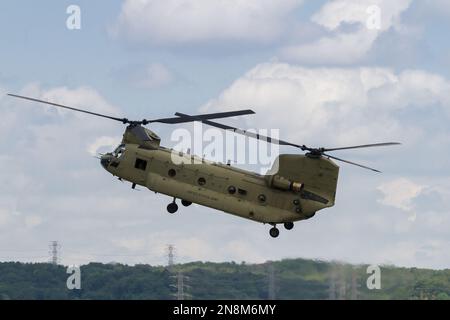 Ein Boeing CH 47 Chinook Hubschrauber mit der US-Armee in der Nähe des Yokota Airbase, Fussa, Tokio, Japan. Stockfoto