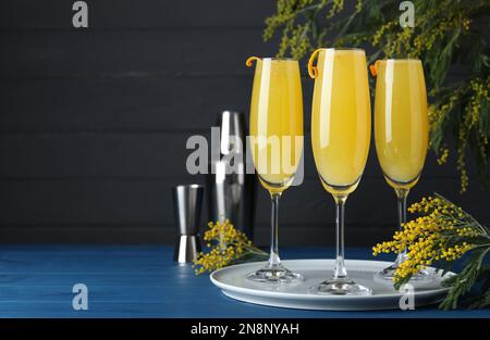 Gläser Mimosa-Cocktail mit blühenden Zweigen auf hellblauem Holztisch. Platz für Text Stockfoto