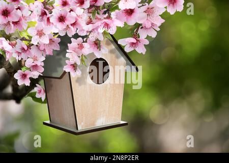 Wunderschönes Vogelhaus aus Holz, das draußen an einem blühenden Baum hängt. Frühling Stockfoto