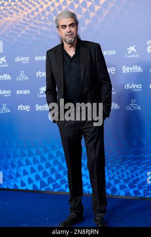 Sevilla. Spanien. 20230211, Fernando Leon de Aranoa nimmt am 11. Februar 2023 in Sevilla, Spanien, an 37. Goya Awards - Red Carpet at Fibes - Conference and Exhibition Teil Stockfoto