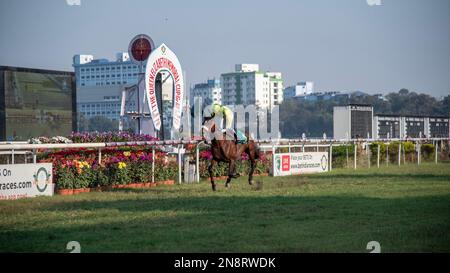 Kalkutta, Indien. 12. Februar 2023. Queen Elizabeth II Memorial Cup (Gr.3) 2023 im Royal Calcutta Turf Club, Kalkutta, Indien, am 11. Februar 2023 (Foto von Amlan Biswas/Pacific Press). Kredit: Pacific Press Media Production Corp./Alamy Live News Stockfoto