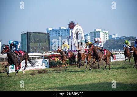 Kalkutta, Indien. 12. Februar 2023. Queen Elizabeth II Memorial Cup (Gr.3) 2023 im Royal Calcutta Turf Club, Kalkutta, Indien, am 11. Februar 2023 (Foto von Amlan Biswas/Pacific Press). Kredit: Pacific Press Media Production Corp./Alamy Live News Stockfoto