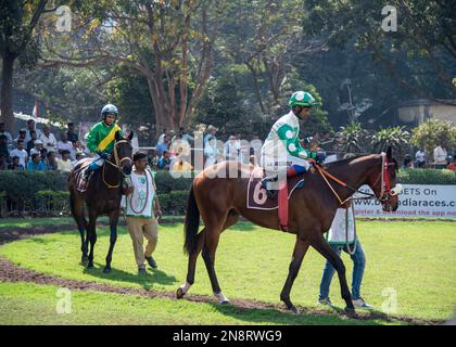 Kalkutta, Indien. 12. Februar 2023. Queen Elizabeth II Memorial Cup (Gr.3) 2023 im Royal Calcutta Turf Club, Kalkutta, Indien, am 11. Februar 2023 (Foto von Amlan Biswas/Pacific Press). Kredit: Pacific Press Media Production Corp./Alamy Live News Stockfoto