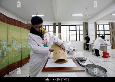 CHENZHOU, CHINA - 10. FEBRUAR 2023 - Teilnehmer nehmen an einem Test zur Saatgutqualität an der Zixing Vocational and Technical School in Zentralchina Teil Stockfoto