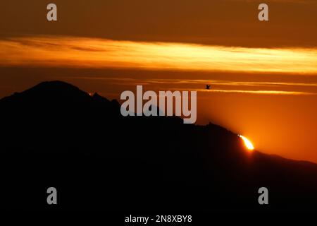 Nahaufnahme des Sonnenaufgangs über dem Mt. Baker in Washington mit Wolken und Vogel. Eine kleine vulkanische Gasfahne ist hintergrundbeleuchtet und in der Nähe des Gipfels sichtbar. Entnommen aus Stockfoto