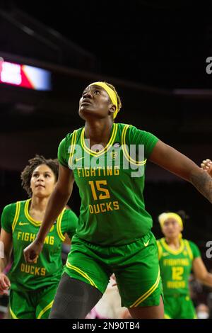 Oregon Ducks Center Phillipina Kyei (15) ist bereit für den Rückprall gegen die USC Trojans während eines regulären Saisonspiels im Galen Center am Freitag, 10. Februar 2023 in Los Angeles, Kalifornien Die Trojaner besiegten die Ducks 56–51. (Aliyah Navarro/Bild des Sports) Stockfoto