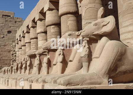 Avenue of Ramms am Eingang des Karnak-Tempels in Luxor, Ägypten Stockfoto