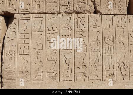 Alte ägyptische Hieroglyphen, die in die Wände des Karnak-Tempels in Luxor, Ägypten, gemeißelt wurden Stockfoto