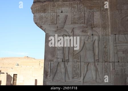 Gut erhaltene Wandreliefs im Tempel von Kom Ombo in Assuan, Ägypten Stockfoto