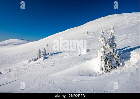 Mount Szeroki Wierch, Bieszczady Nationalpark, Karpaten, Polen. Stockfoto