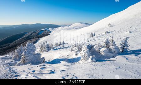 Mount Szeroki Wierch, Bieszczady Nationalpark, Karpaten, Polen. Stockfoto