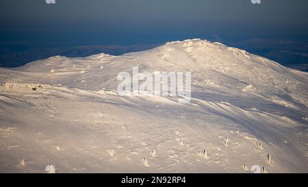 Berg Kopa Bukowska, Bieszczady Nationalpark, Karpaten, Polen. Stockfoto